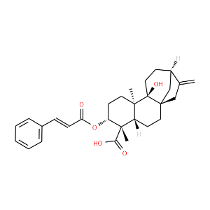 3alpha-Cinnamoyloxypterokaurene L3 - Click Image to Close