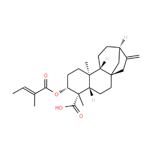 ent-3beta-Tigloyloxykaur-16-en-19-oic acid