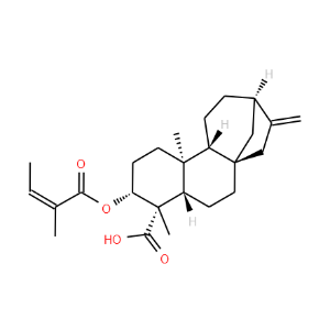 ent-3beta-Angeloyloxykaur-16-en-19-oic acid - Click Image to Close
