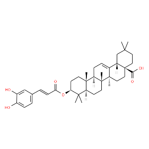 3-O-Caffeoyloleanolic acid - Click Image to Close