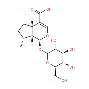 8-Epideoxyloganic acid - Click Image to Close