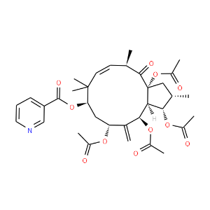 3,5,7,15-Tetraacetoxy-9-nicotinoyloxy-6(17),11-jatrophadien-14-one - Click Image to Close