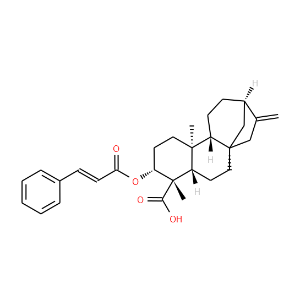 ent-3beta-Cinnamoyloxykaur-16-en-19-oic acid - Click Image to Close