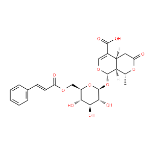 6'-O-Cinnamoyl-8-epikingisidic acid - Click Image to Close