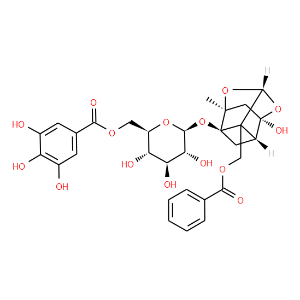 6'-O-Galloyl paeoniflorin - Click Image to Close