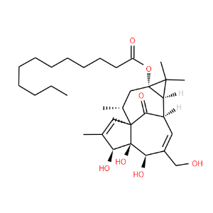 Dodecanoic Acid Ingenol Ester - Click Image to Close
