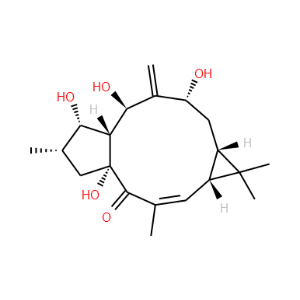 7-beta-Hydroxylathyrol - Click Image to Close