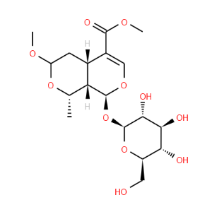 7-O-Methyl morroniside - Click Image to Close