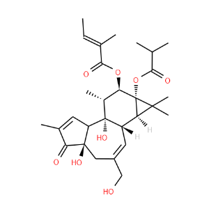 12-O-Tiglylphorbol-13-isobutyrate - Click Image to Close
