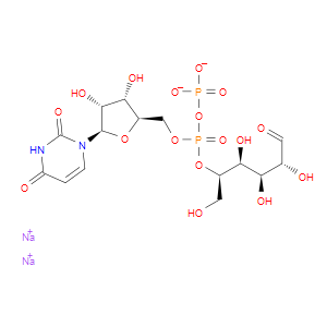 Uridine 5'-diphosphoglucose disodium salt - Click Image to Close