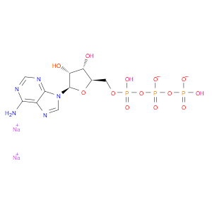 Adenosine 5'-triphosphate, disodium salt