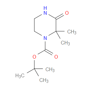 tert-Butyl 2,2-dimethyl-3-oxo-piperazine-1-carboxylate