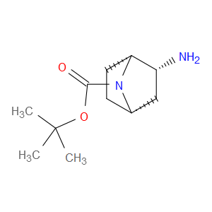 (1R,2R,4S)-REL-TERT-BUTYL 2-AMINO-7-AZABICYCLO[2.2.1]HEPTANE-7-CARBOXYLATE