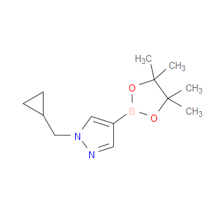 1-(CYCLOPROPYLMETHYL)-4-(4,4,5,5-TETRAMETHYL-1,3,2-DIOXABOROLAN-2-YL)-1H-PYRAZOLE