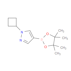 1-CYCLOBUTYL-4-(4,4,5,5-TETRAMETHYL-1,3,2-DIOXABOROLAN-2-YL)-1H-PYRAZOLE - Click Image to Close
