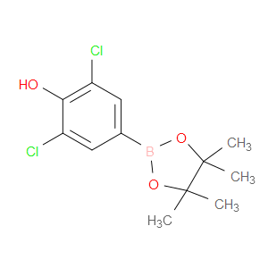 2,6-DICHLORO-4-(4,4,5,5-TETRAMETHYL-1,3,2-DIOXABOROLAN-2-YL)PHENOL