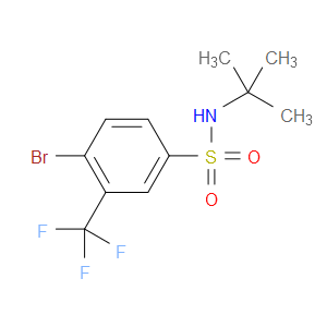 4-BROMO-N-TERT-BUTYL-3-(TRIFLUOROMETHYL)BENZENESULFONAMIDE