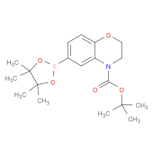TERT-BUTYL 6-(4,4,5,5-TETRAMETHYL-1,3,2-DIOXABOROLAN-2-YL)-2H-BENZO[B][1,4]OXAZINE-4(3H)-CARBOXYLATE