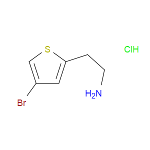 2-(4-BROMOTHIOPHEN-2-YL)ETHANAMINE HYDROCHLORIDE - Click Image to Close