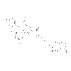 6-[Fluorescein-5(6)-carboxamido]hexanoic acid N-hydroxysuccinimide ester