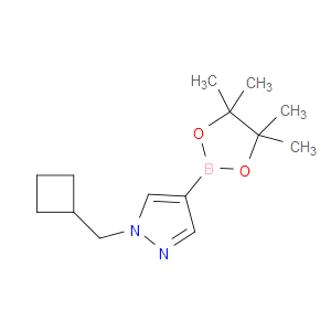 1-(CYCLOBUTYLMETHYL)-4-(TETRAMETHYL-1,3,2-DIOXABOROLAN-2-YL)-1H-PYRAZOLE