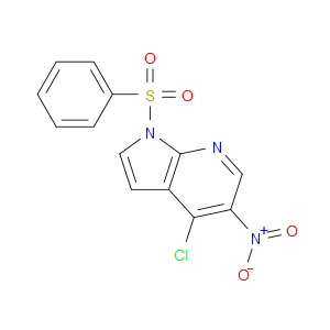 4-CHLORO-5-NITRO-1-(PHENYLSULFONYL)-1H-PYRROLO[2,3-B]PYRIDINE