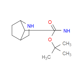 TERT-BUTYL N-(2-AZABICYCLO[2.2.1]HEPTAN-7-YL)CARBAMATE