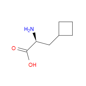 (S)-2-AMINO-3-CYCLOBUTYLPROPANOIC ACID