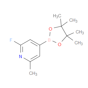 2-FLUORO-6-METHYL-4-(4,4,5,5-TETRAMETHYL-1,3,2-DIOXABOROLAN-2-YL)PYRIDINE