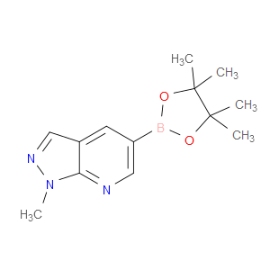 1-METHYL-5-(4,4,5,5-TETRAMETHYL-1,3,2-DIOXABOROLAN-2-YL)-1H-PYRAZOLO[3,4-B]PYRIDINE