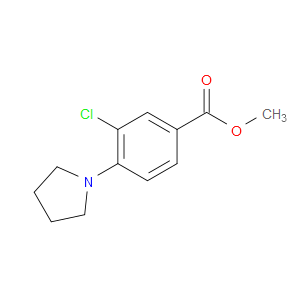 METHYL 3-CHLORO-4-(1-PYRROLIDINYL)BENZOATE - Click Image to Close