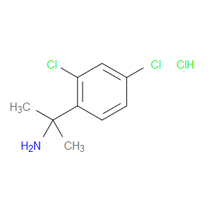 2-(2,4-DICHLOROPHENYL)PROPAN-2-AMINE HYDROCHLORIDE - Click Image to Close