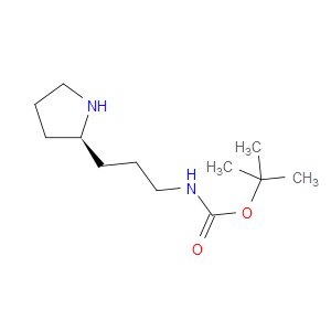 (R)-(3-PYRROLIDIN-2-YL-PROPYL)-CARBAMIC ACID TERT-BUTYL ESTER - Click Image to Close