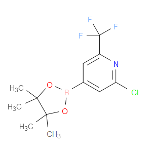 2-CHLORO-4-(4,4,5,5-TETRAMETHYL-1,3,2-DIOXABOROLAN-2-YL)-6-(TRIFLUOROMETHYL)PYRIDINE - Click Image to Close