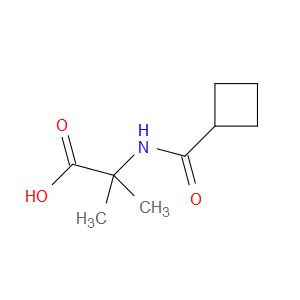 2-(CYCLOBUTANECARBOXAMIDO)-2-METHYLPROPANOIC ACID