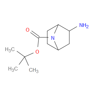 TERT-BUTYL 2-AMINO-7-AZABICYCLO[2.2.1]HEPTANE-7-CARBOXYLATE