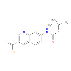 7-(TERT-BUTOXYCARBONYLAMINO)QUINOLINE-3-CARBOXYLIC ACID