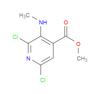 METHYL 2,6-DICHLORO-3-(METHYLAMINO)ISONICOTINATE - Click Image to Close