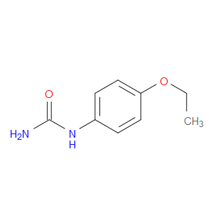 N-(4-ETHOXYPHENYL)UREA
