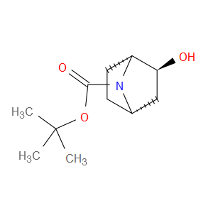 (1R,2S,4S)-REL-7-BOC-7-AZABICYCLO[2.2.1]HEPTAN-2-OL