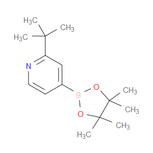 2-(TERT-BUTYL)-4-(4,4,5,5-TETRAMETHYL-1,3,2-DIOXABOROLAN-2-YL)PYRIDINE