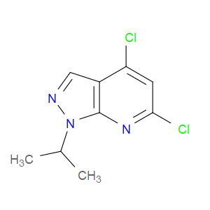 4,6-DICHLORO-1-ISOPROPYL-1H-PYRAZOLO[3,4-B]PYRIDINE