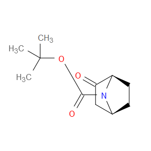 (1R,4S)-7-BOC-2-OXO-7-AZABICYCLO[2.2.1]HEPTANE