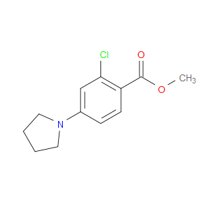 METHYL 2-CHLORO-4-(1-PYRROLIDINYL)BENZOATE
