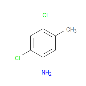 2,4-DICHLORO-5-METHYLANILINE - Click Image to Close