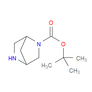 TERT-BUTYL 2,5-DIAZABICYCLO[2.2.1]HEPTANE-2-CARBOXYLATE - Click Image to Close