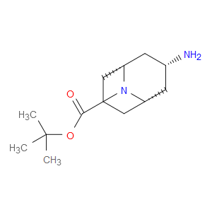 ENDO-3-AMINO-N-BOC-9-AZABICYCLO[3.3.1]NONANE
