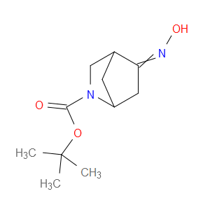 TERT-BUTYL 5-(HYDROXYIMINO)-2-AZABICYCLO[2.2.1]HEPTANE-2-CARBOXYLATE - Click Image to Close