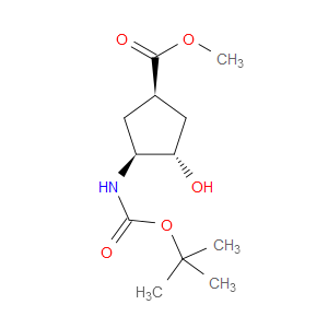 (1S,2S,4R)-N-BOC-1-AMINO-2-HYDROXYCYCLOPENTANE-4-CARBOXYLIC ACID METHYL ESTER - Click Image to Close
