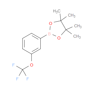 4,4,5,5-TETRAMETHYL-2-(3-(TRIFLUOROMETHOXY)PHENYL)-1,3,2-DIOXABOROLANE